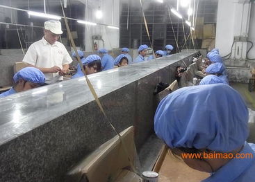 專業玩具加工與塑膠配件生產 技術、價格與咨詢服務全解析